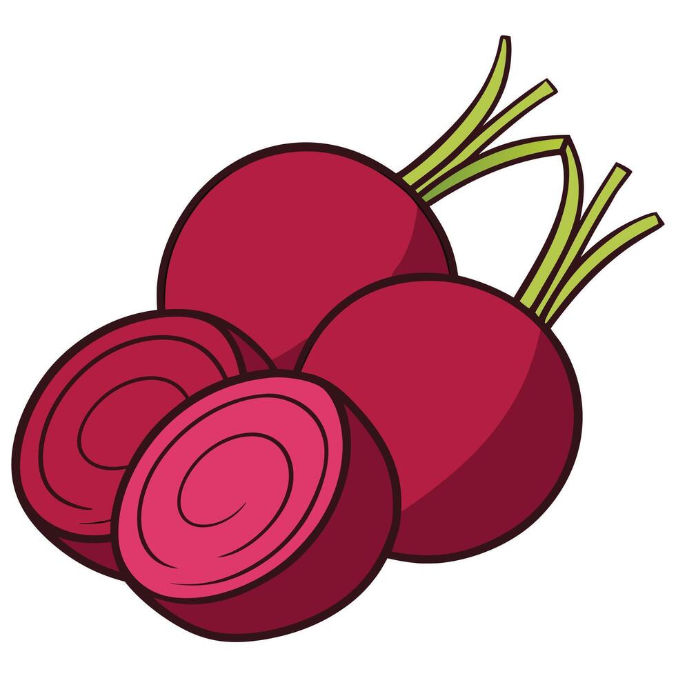 A red beet is shown with two slices vector