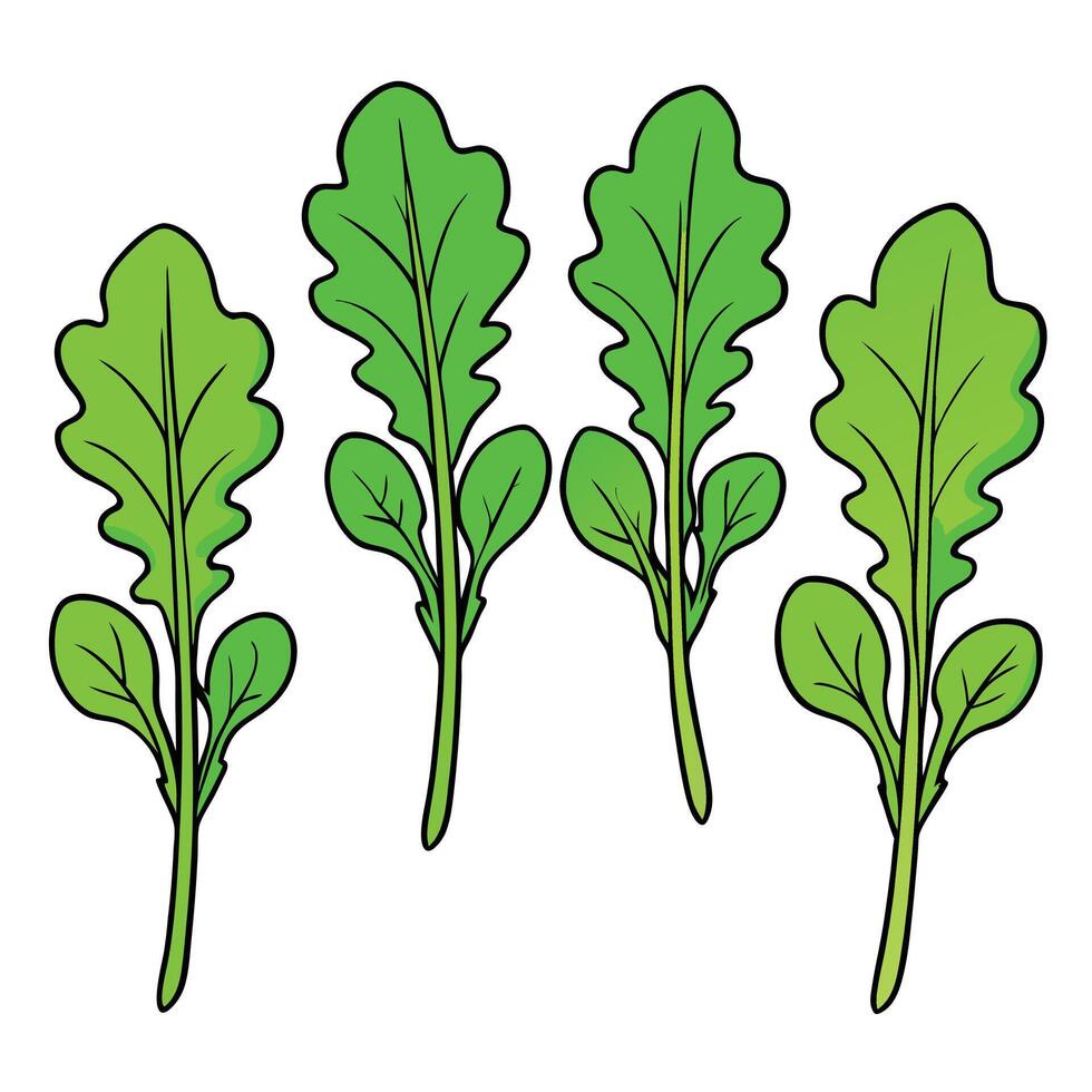 A group of green leaves on a white background vector