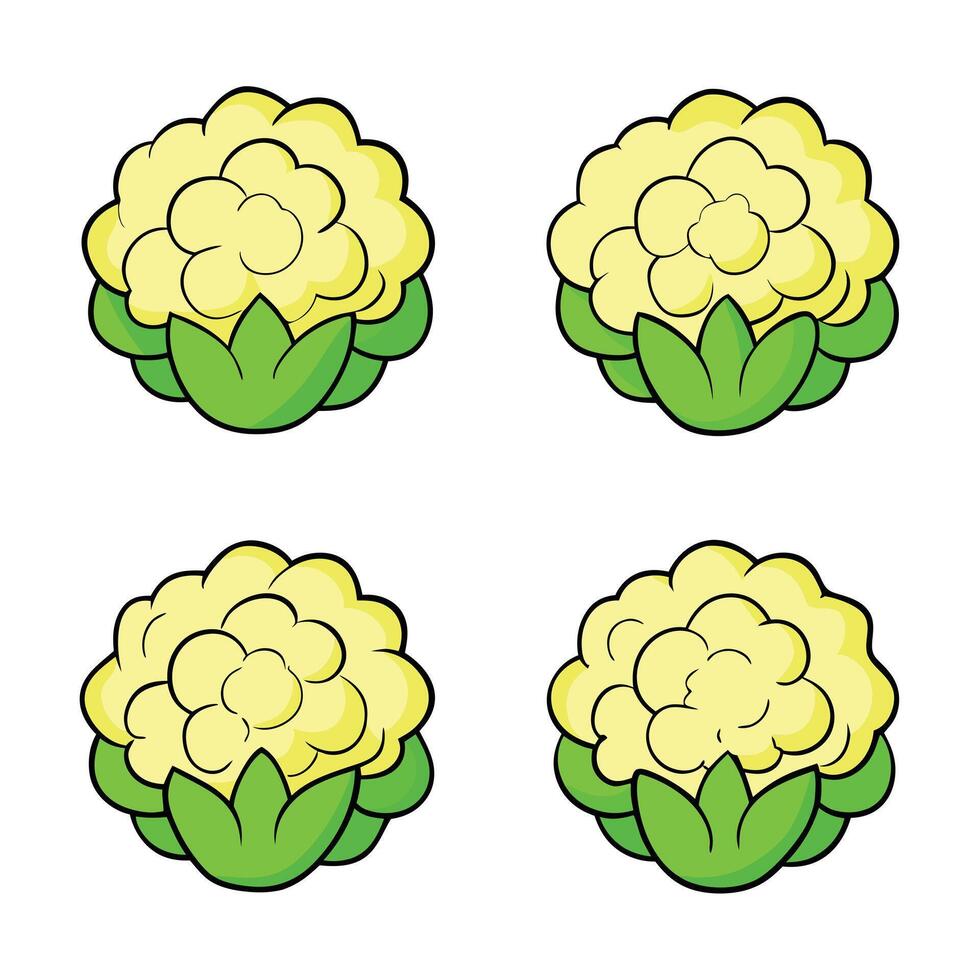 Cauliflower icon set illustration vector