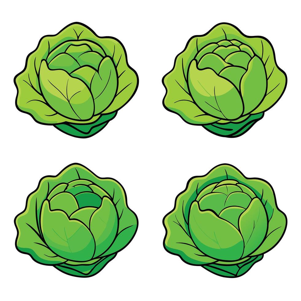 A set of four different types of cabbage vector