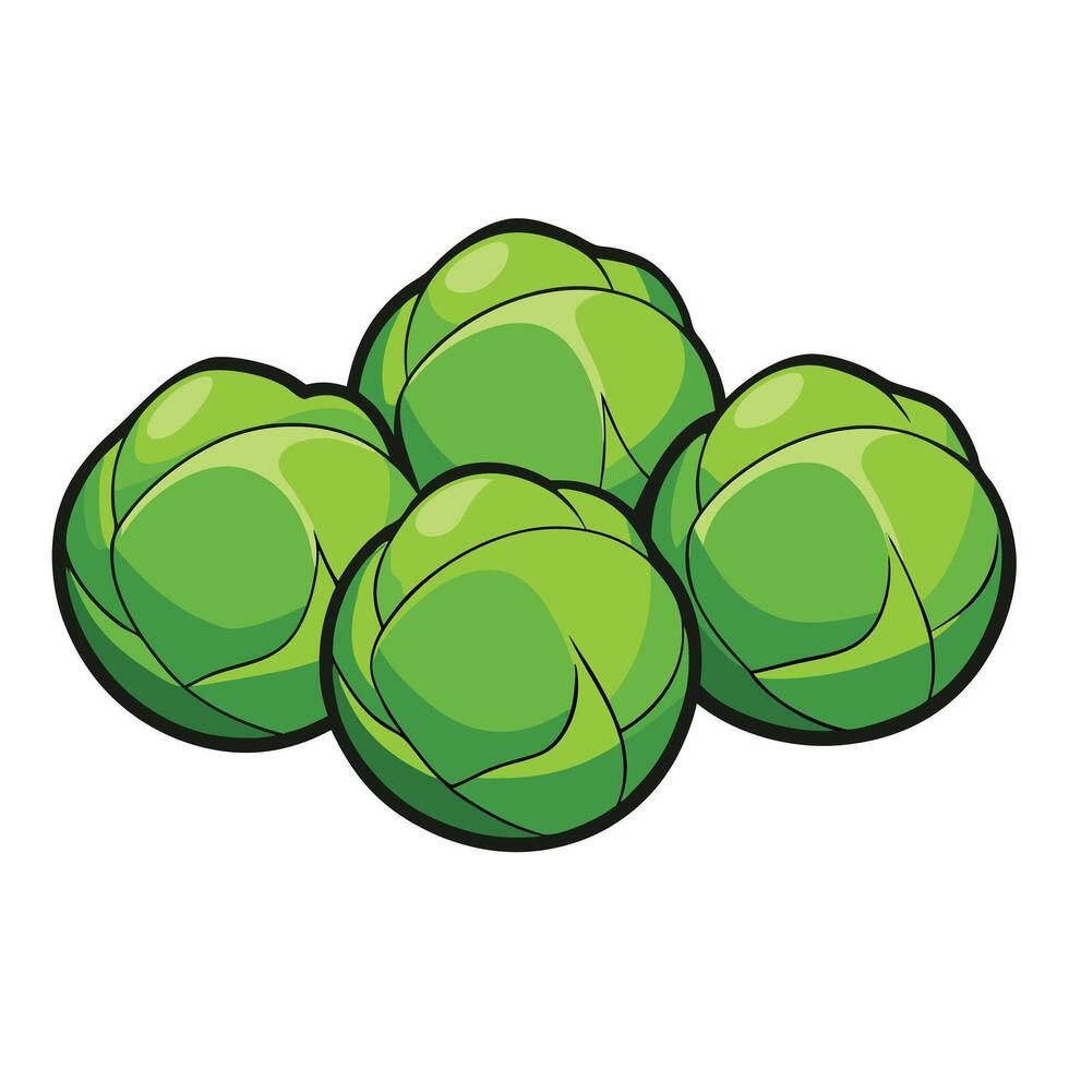 A bunch of green brussels sprouts on a white background vector
