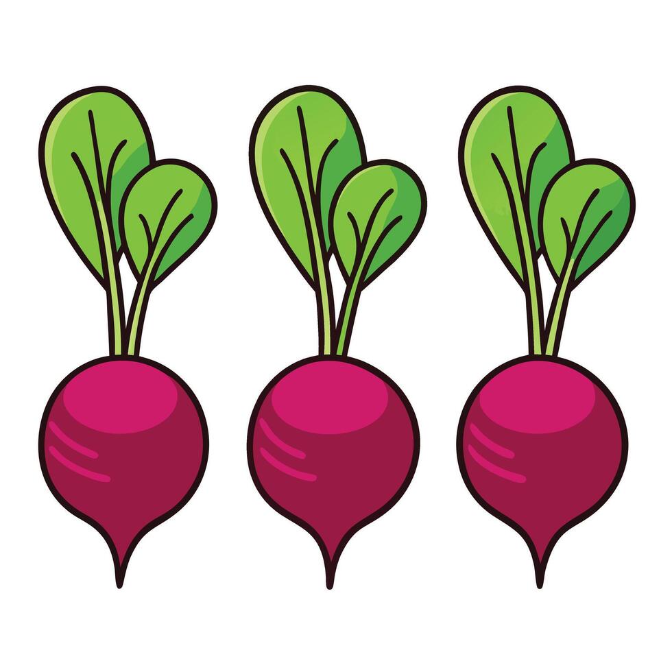 Three beets on a white background vector