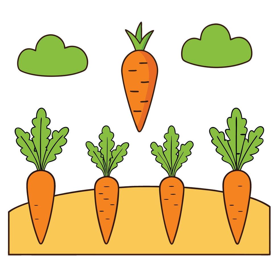 Carrots growing in the field with clouds and sky vector