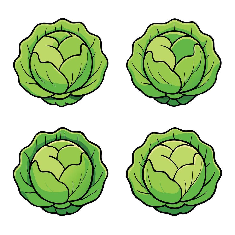 A set of four cabbage leaves with different shapes vector