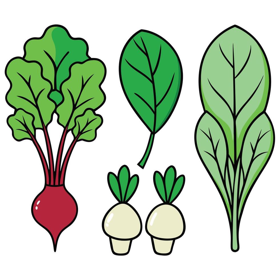 Vegetables and herbs set illustration vector