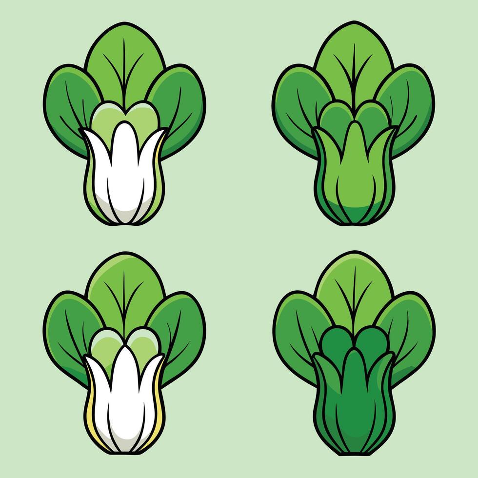 A set of four different types of green and white vegetables vector