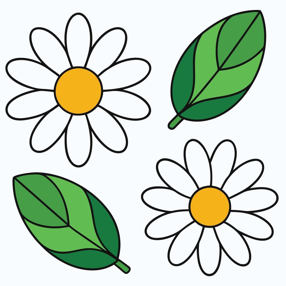 Four daisies with leaves and one with a yellow center vector