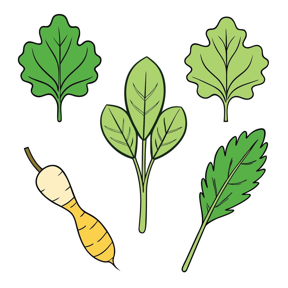 Vegetables and herbs set illustration vector