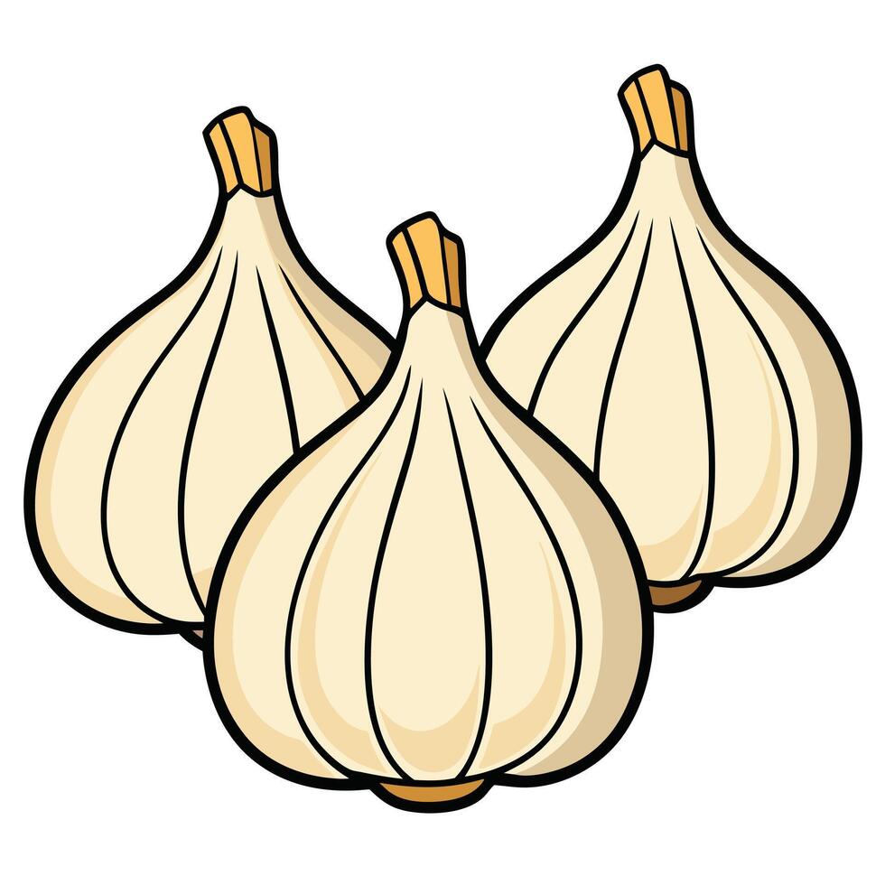 Three garlic bulbs on a white background vector