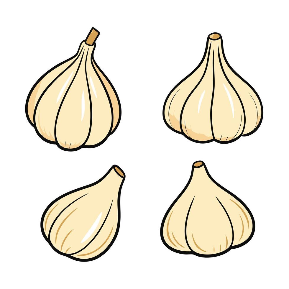 Four garlic cloves on a white background vector