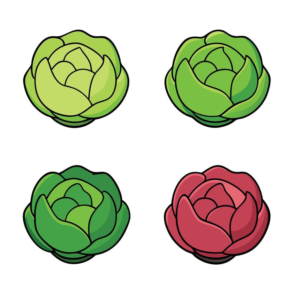 A set of four different types of cabbage vector