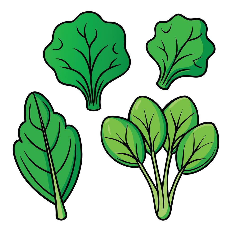 A set of green vegetables on a white background vector