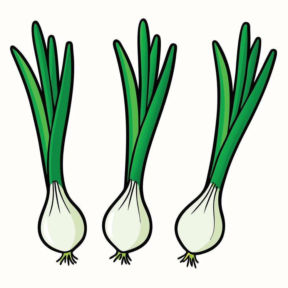 Three onions on a white background vector