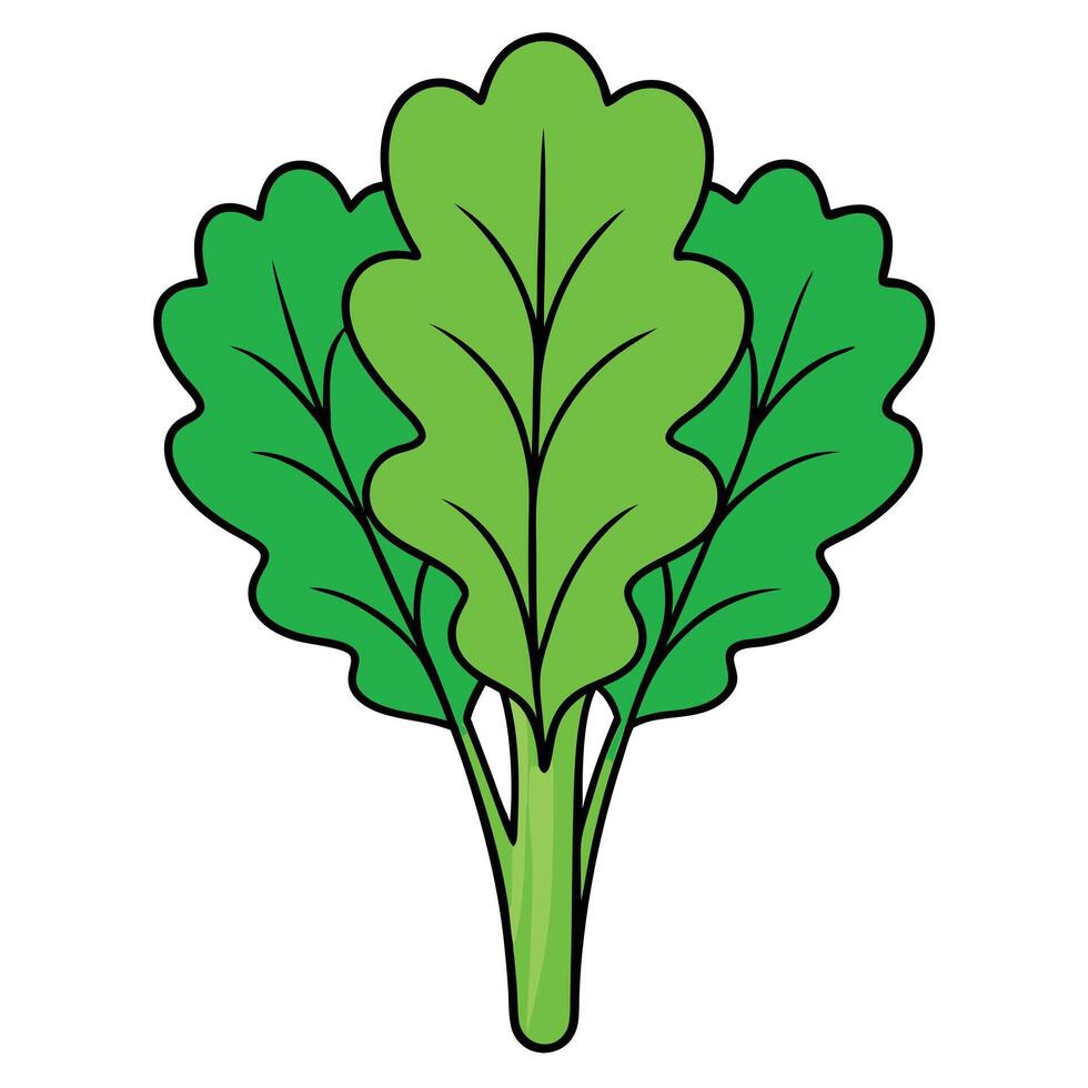 A green leafy vegetable icon on a white background vector