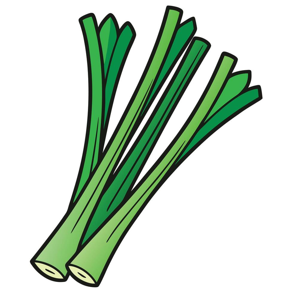 Green leeks clip art vector