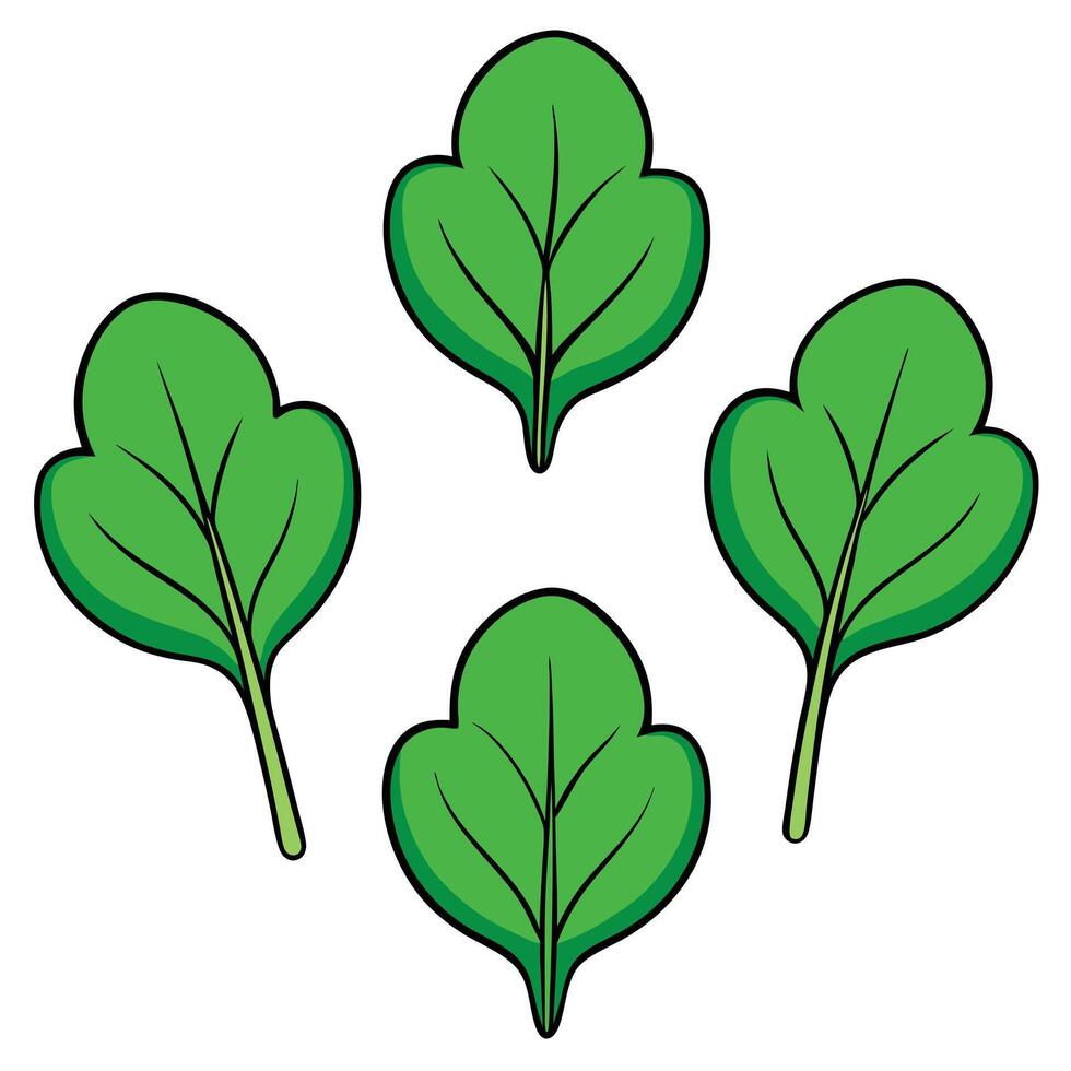 A group of four green leaves on a white background vector