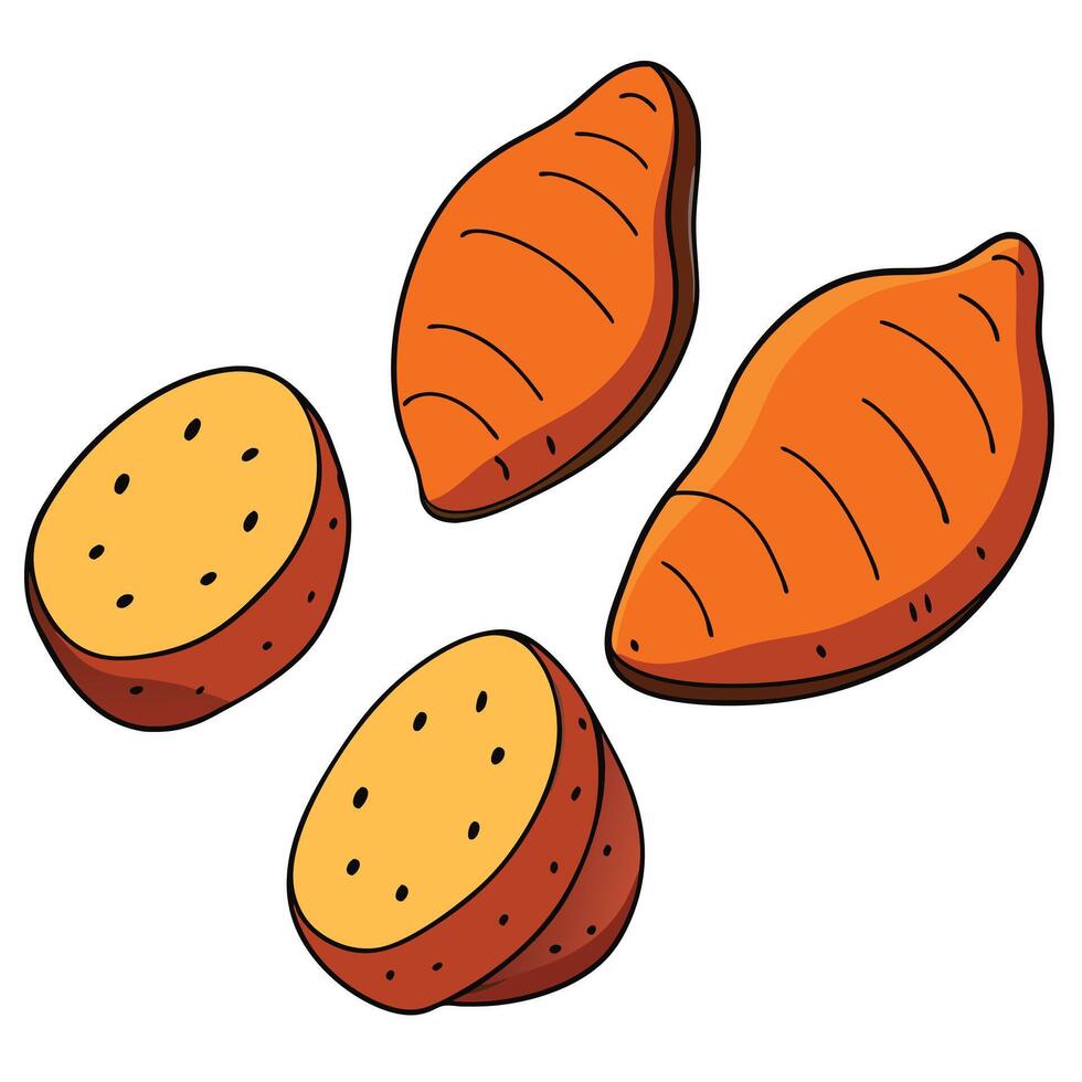 A cartoon illustration of a sweet potato vector
