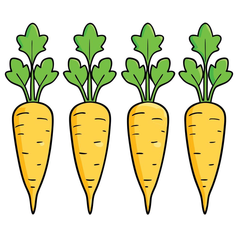 Carrots illustration white background vector