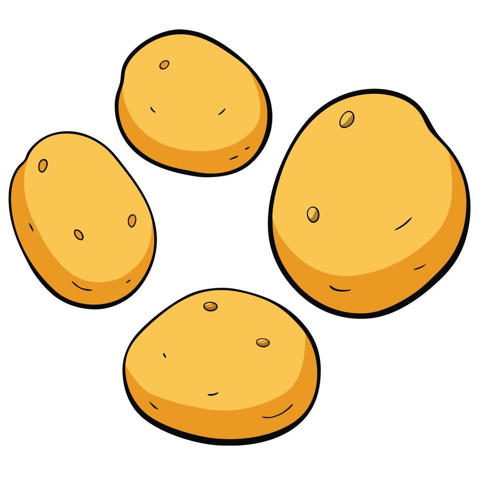 Potatoes illustration white background vector