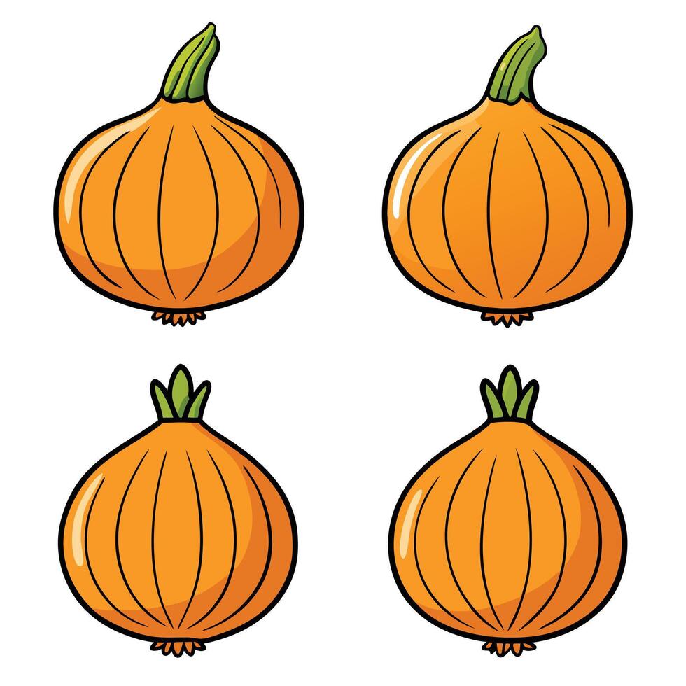Four different types of pumpkins on a white background vector