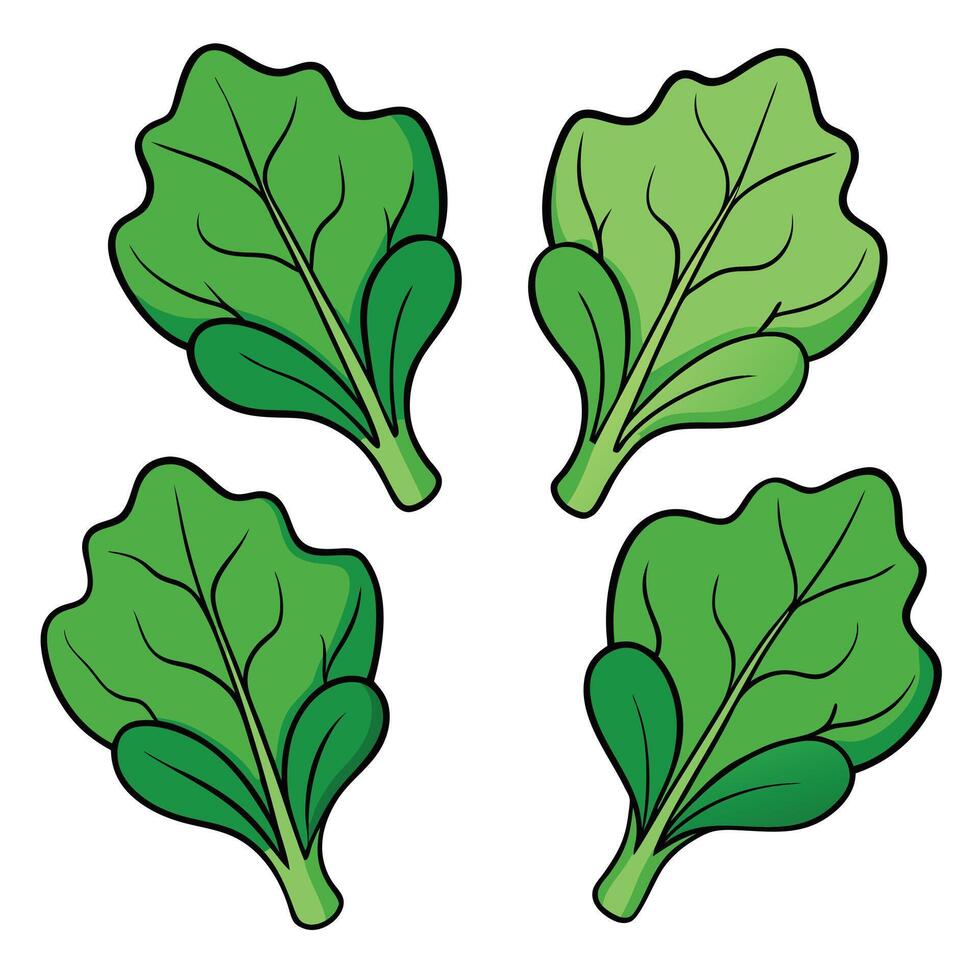 A set of four green leaves on a white background vector