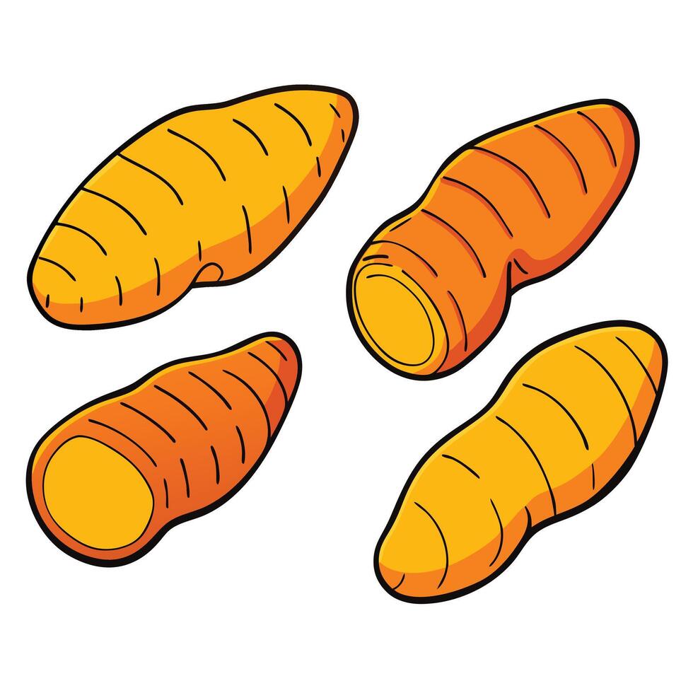 Carrots illustration white background vector
