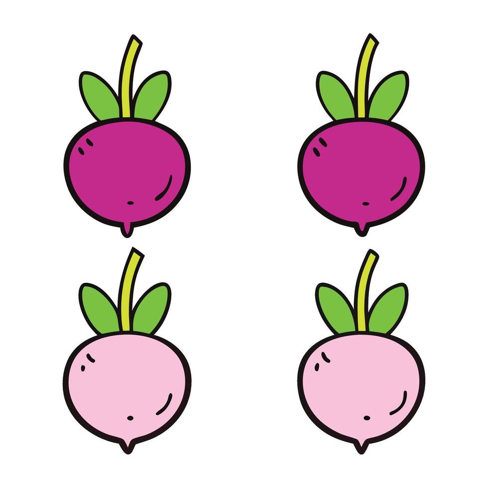 Four different colored radishes are shown in a row vector