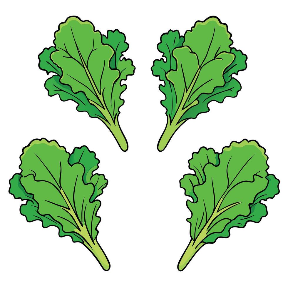 A set of four green leaves on a white background vector