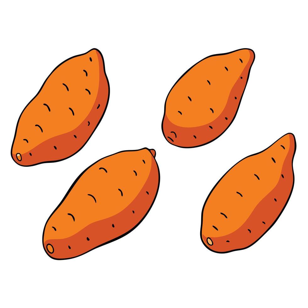 Four sweet potatoes are shown on a white background vector