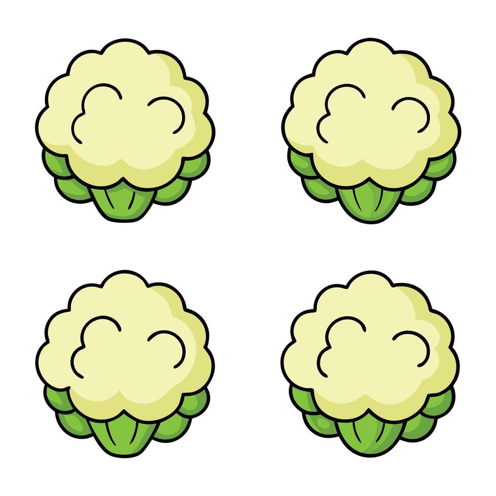 A set of four cauliflower icons vector