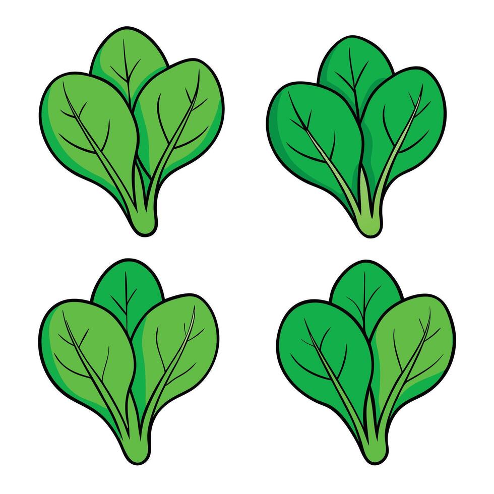 Four green leafy vegetables on a white background vector