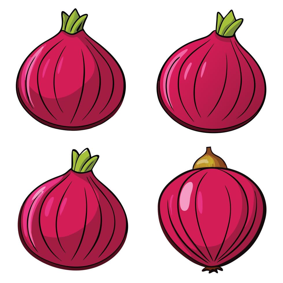 Red onion white background vector