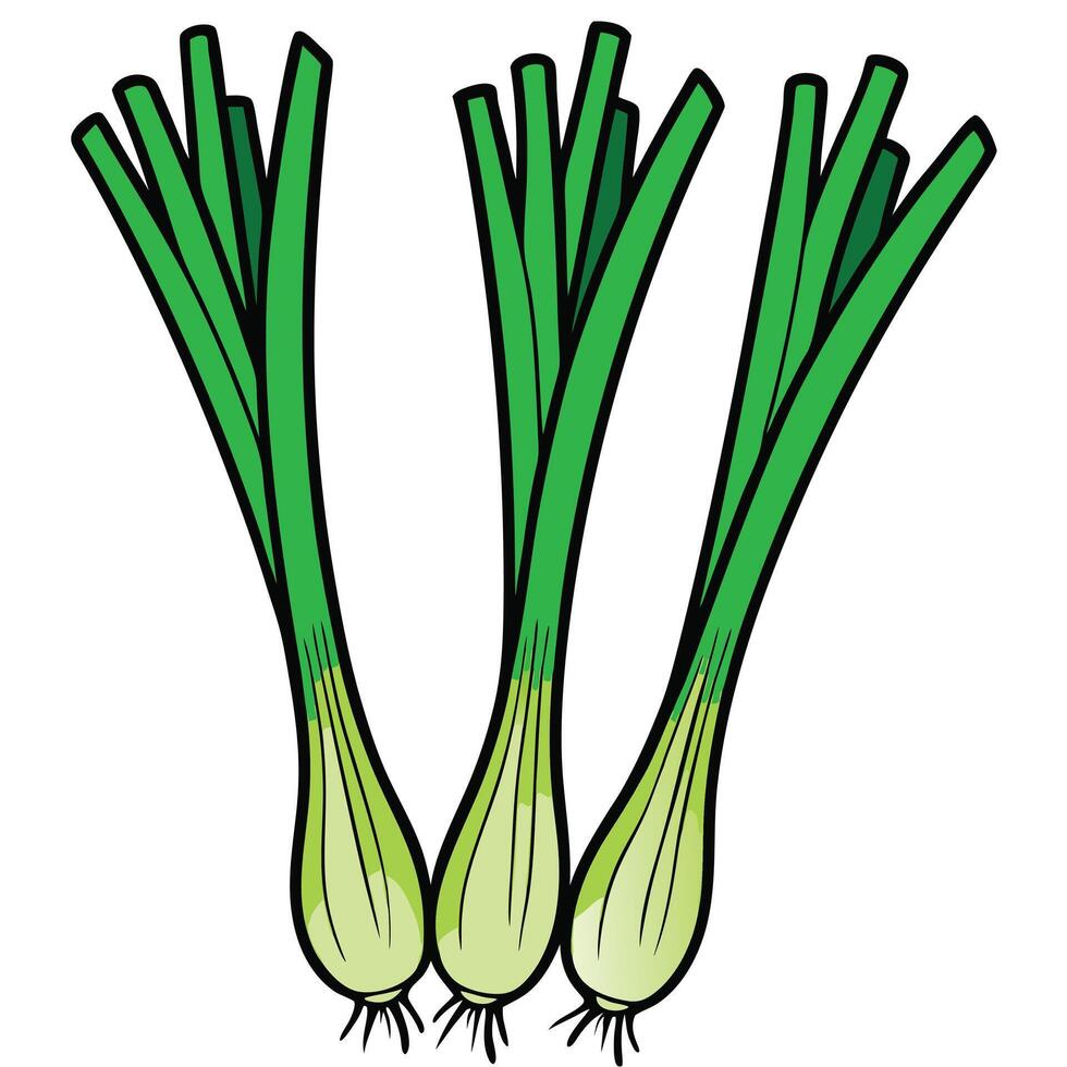 Three green onions on a white background vector