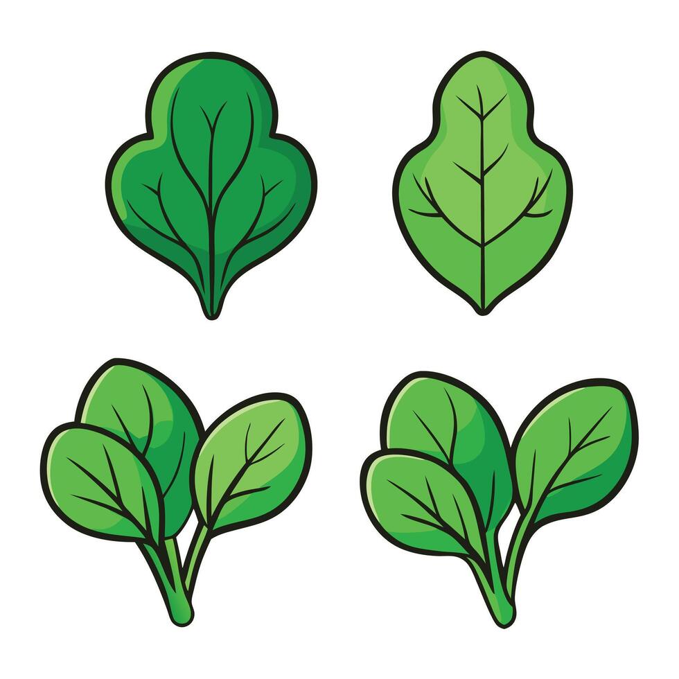 A set of four green leaves on a white background vector