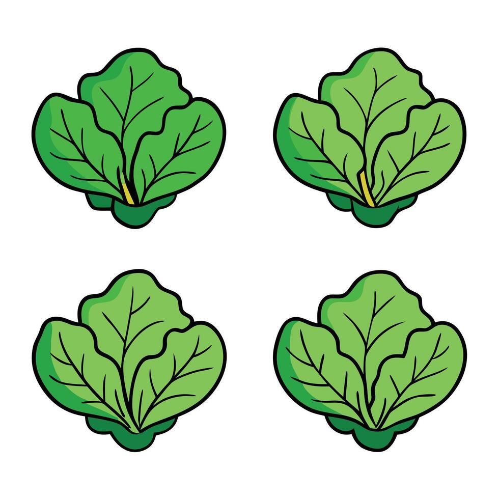 Four leaf lettuce icons on a white background vector