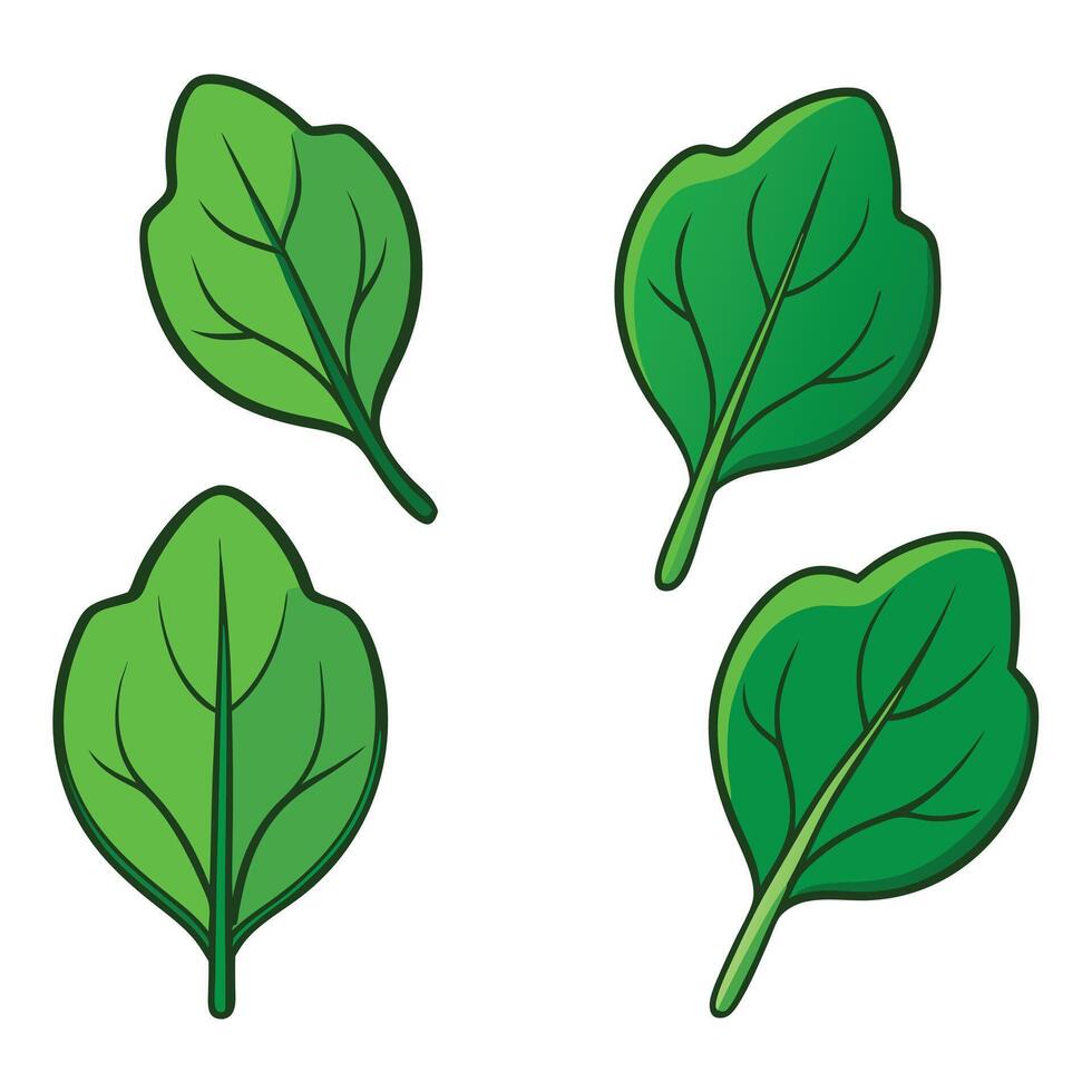 Four green leaves are shown in a cartoon style vector
