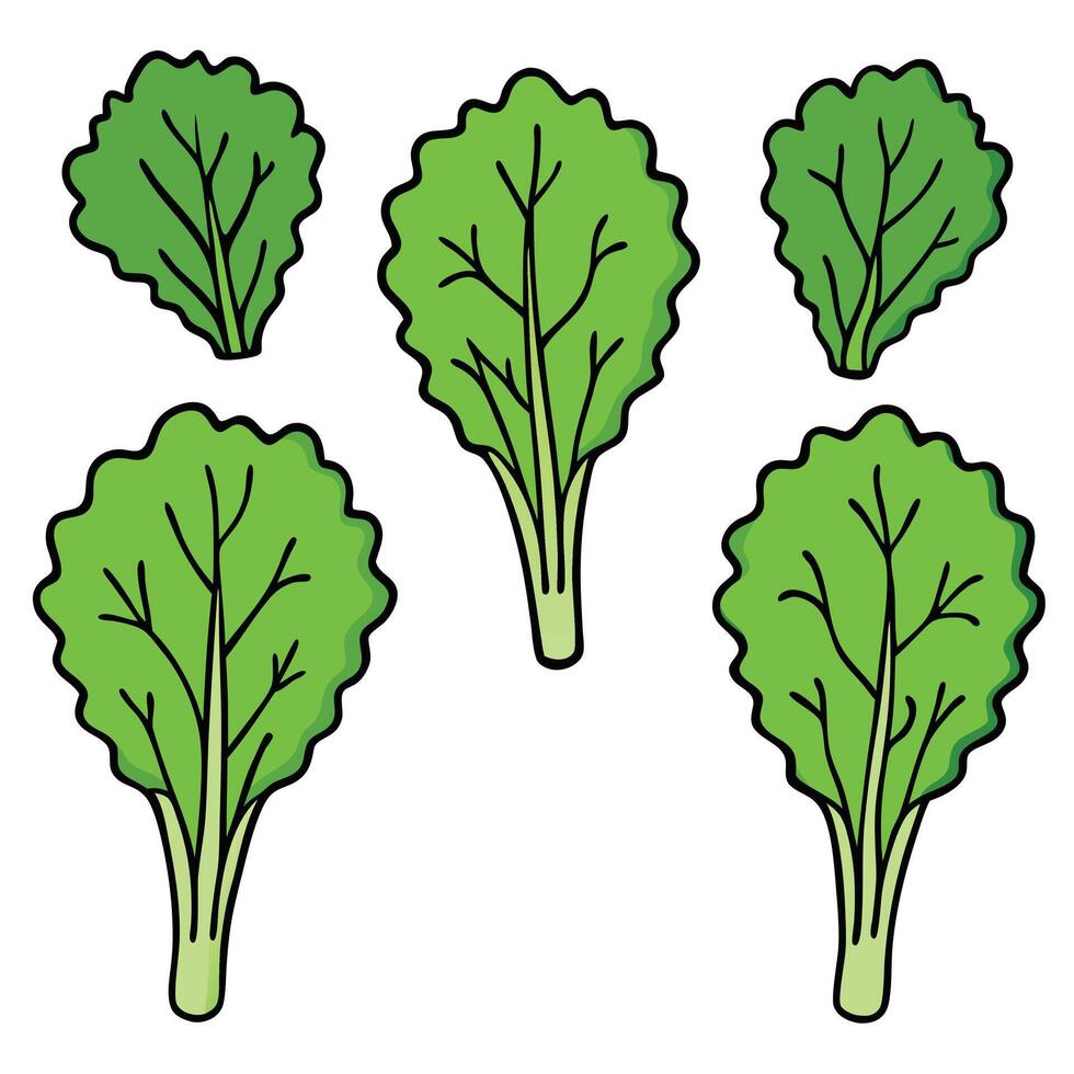 A cartoon illustration of a bunch of green leaves vector