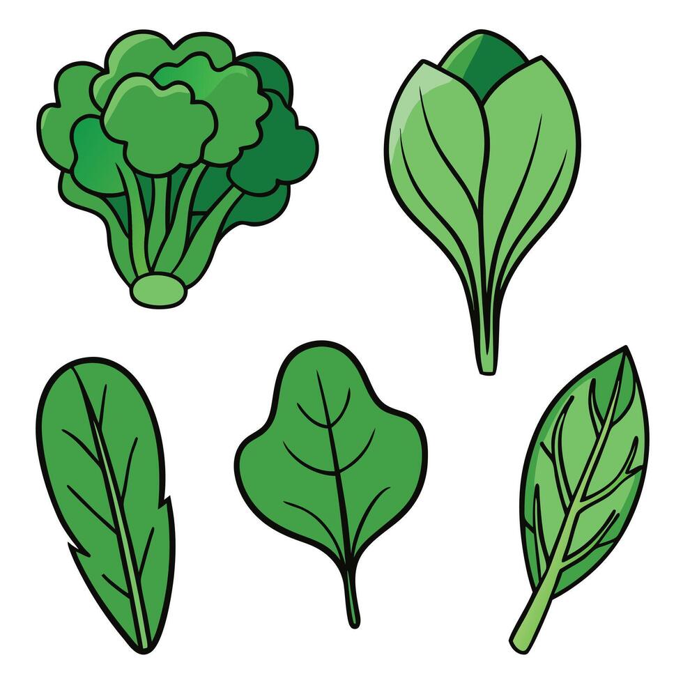 A set of green vegetables on a white background vector