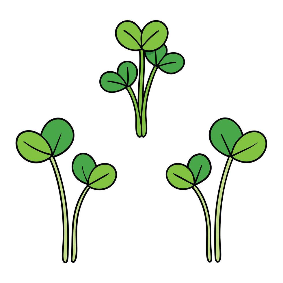 Four clover plants with leaves on a white background vector