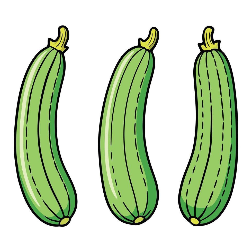 Three cucumbers are shown in a row vector