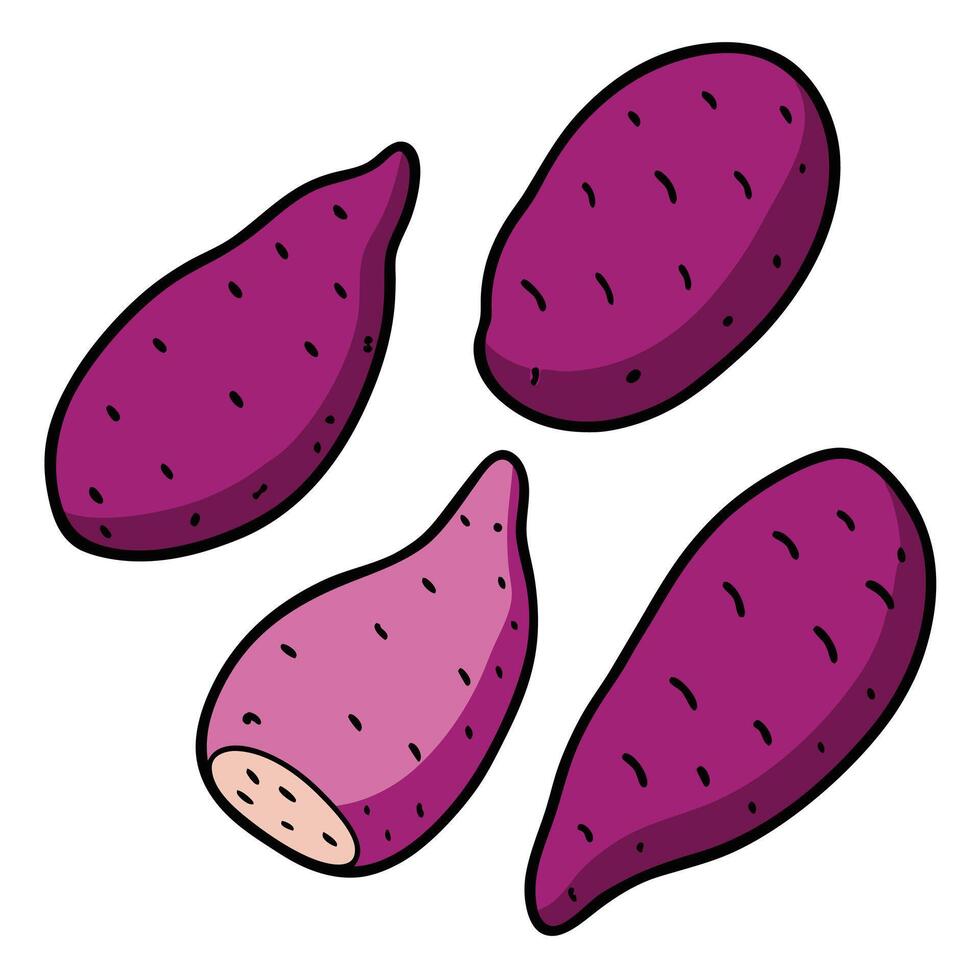 A purple potato is shown in a cartoon style vector