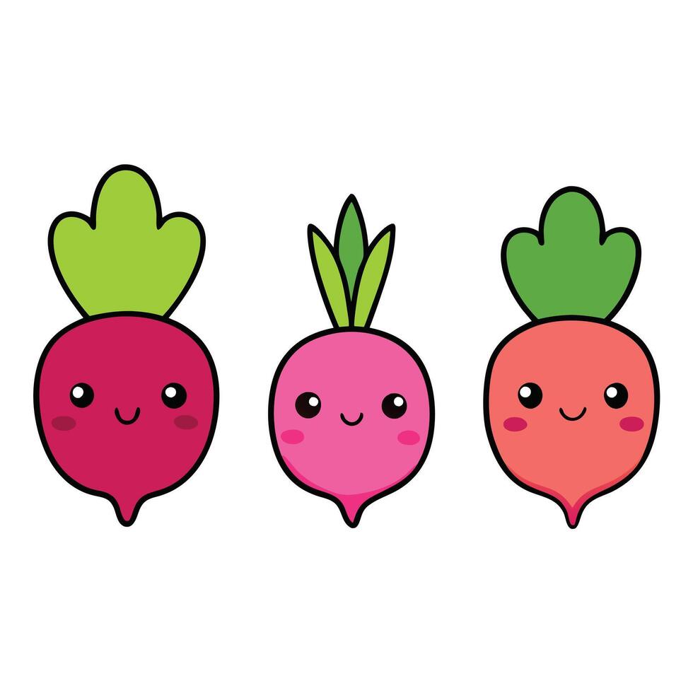 Three different types of radishes are shown vector