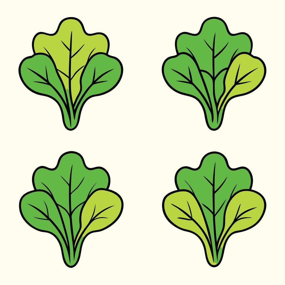 A set of four leaves of green cabbage vector