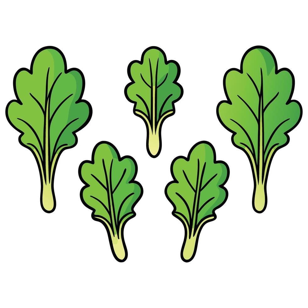 A group of green leaves on a white background vector