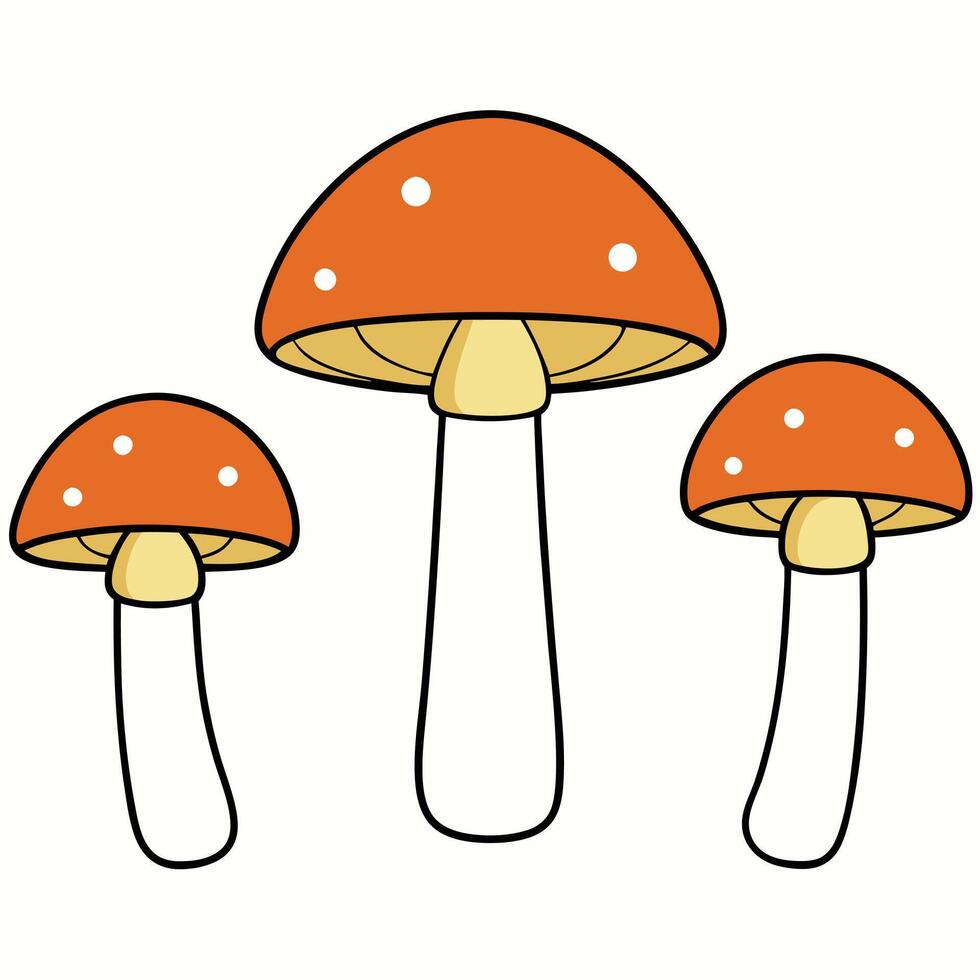 Three mushrooms are shown in a cartoon style vector