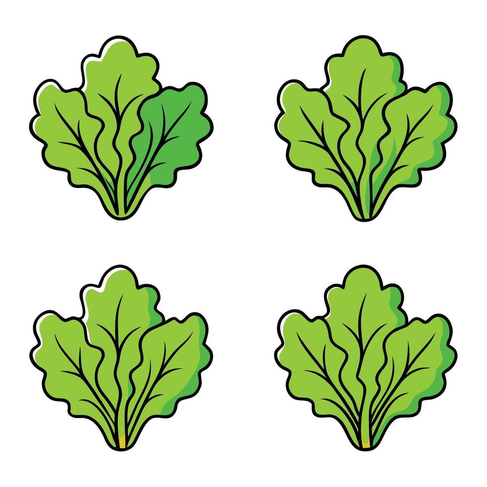 A set of four leafy green vegetables on a white background vector