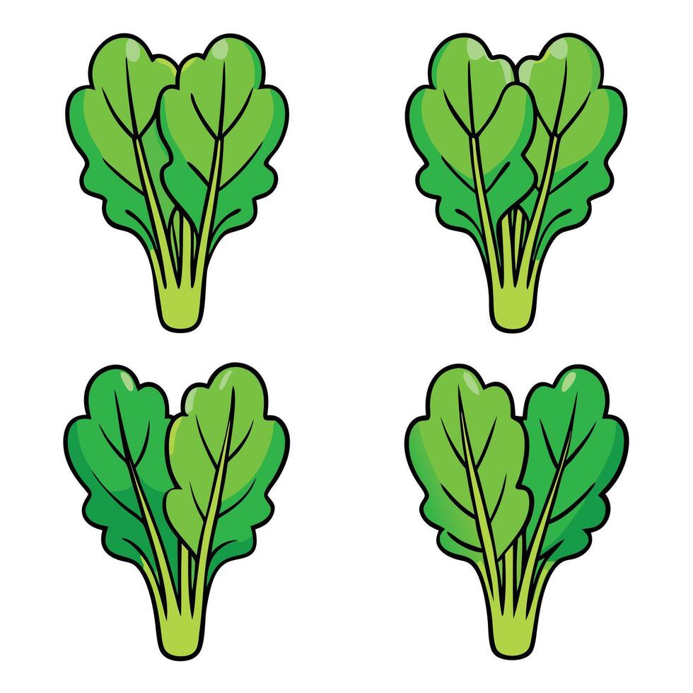 A set of four green leaves on a white background vector