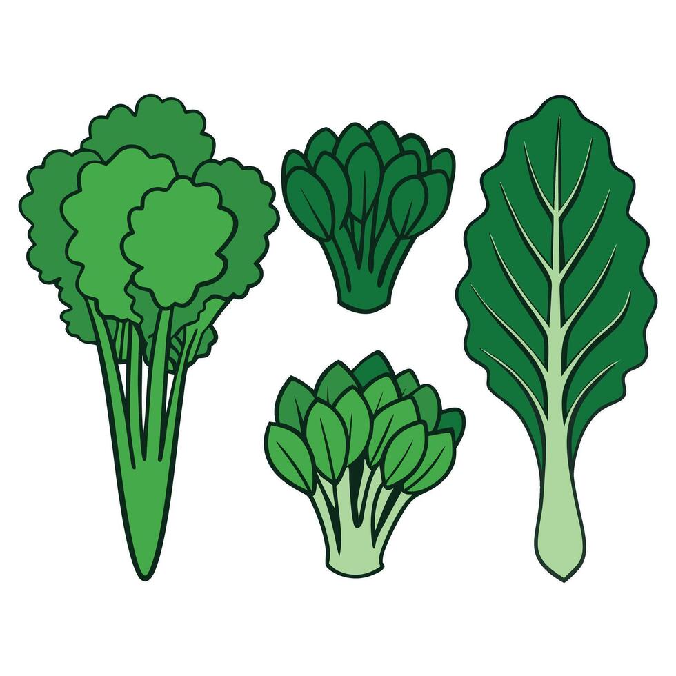 A set of four different types of vegetables vector