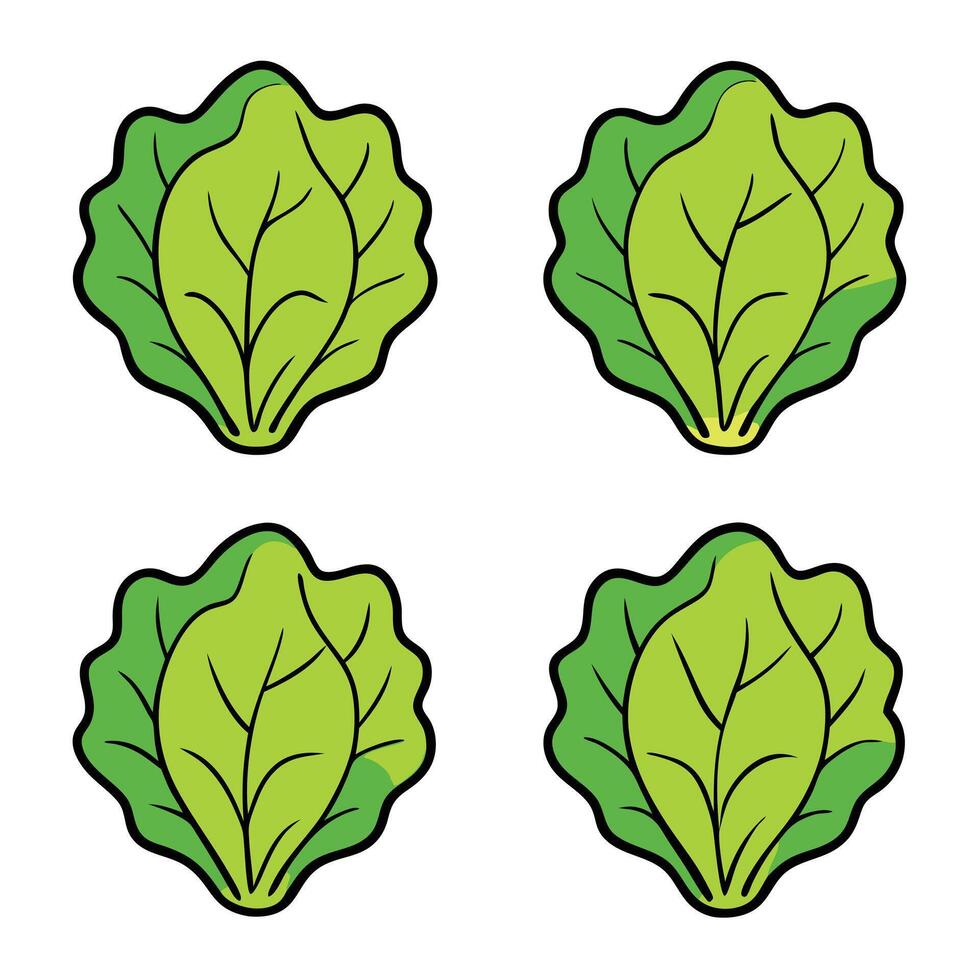 A set of four leafy green vegetables on a white background vector