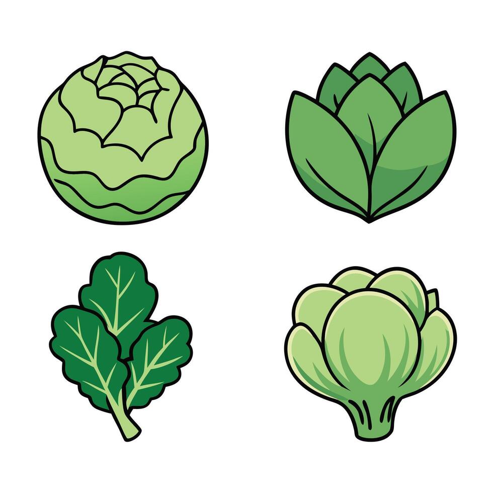 A set of four different types of vegetables vector